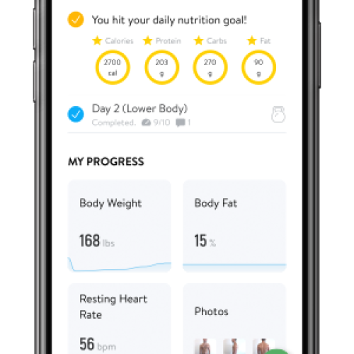 300 x 592 The Web PT Mobile 4