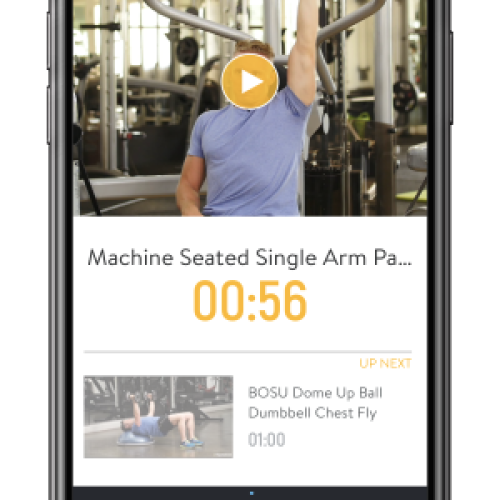 300 x 592 The Web PT Mobile 6