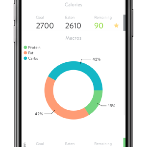 300 x 592 The Web PT Mobile 9